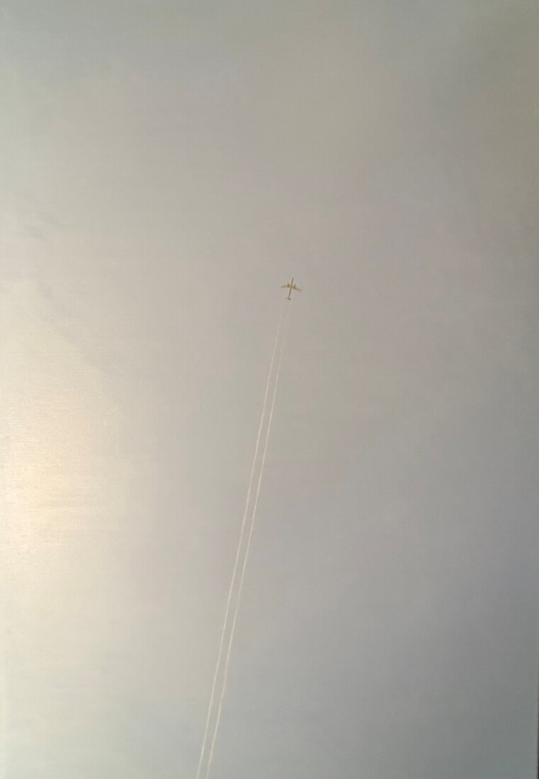 Droomvlucht