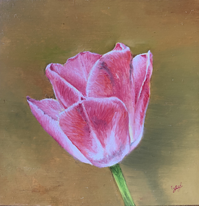 Kleine schilderwerken