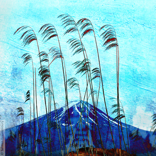 Berg Fuji - Fujikawaguchiko