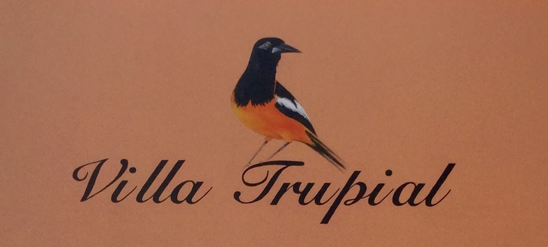 Villa Trupial 