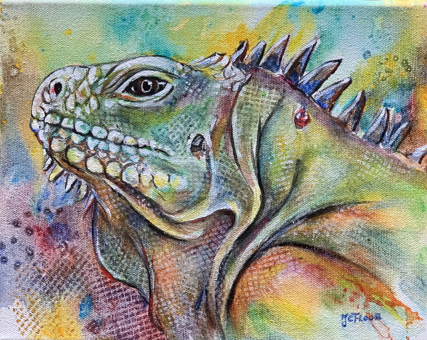 Iguana 