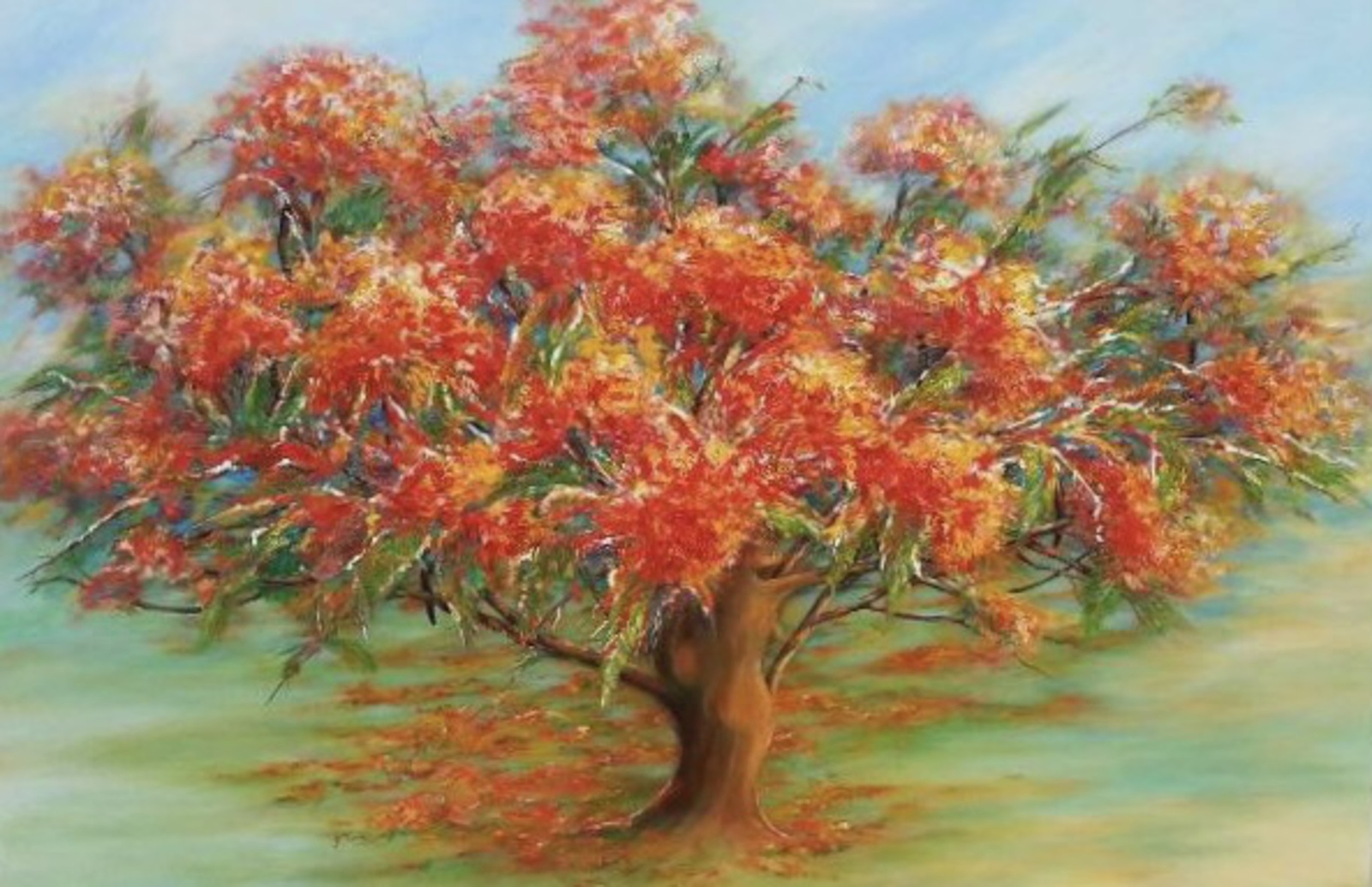 Flamboyant tree