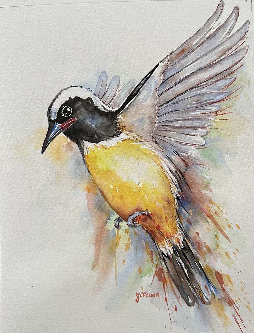 Bananaquit