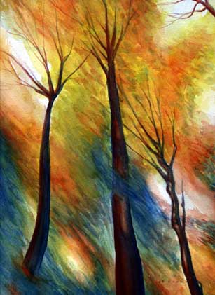 Fall Trees