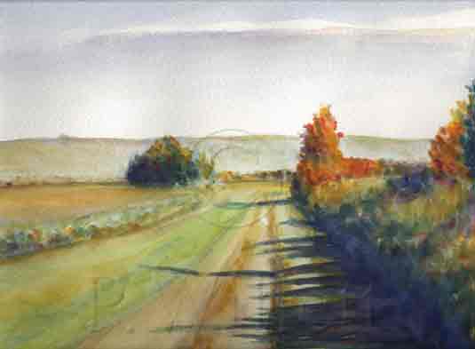 the Grape Harvest
