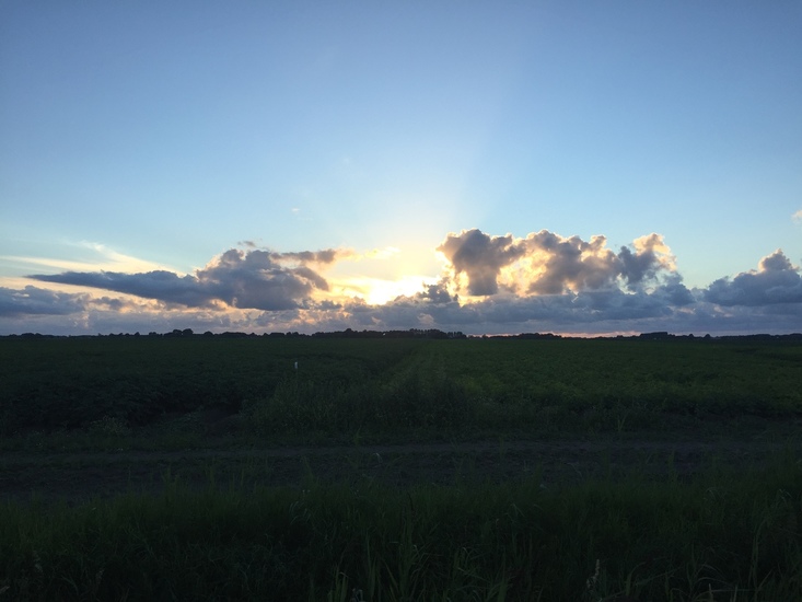 Avond Schouwerzijl - 3