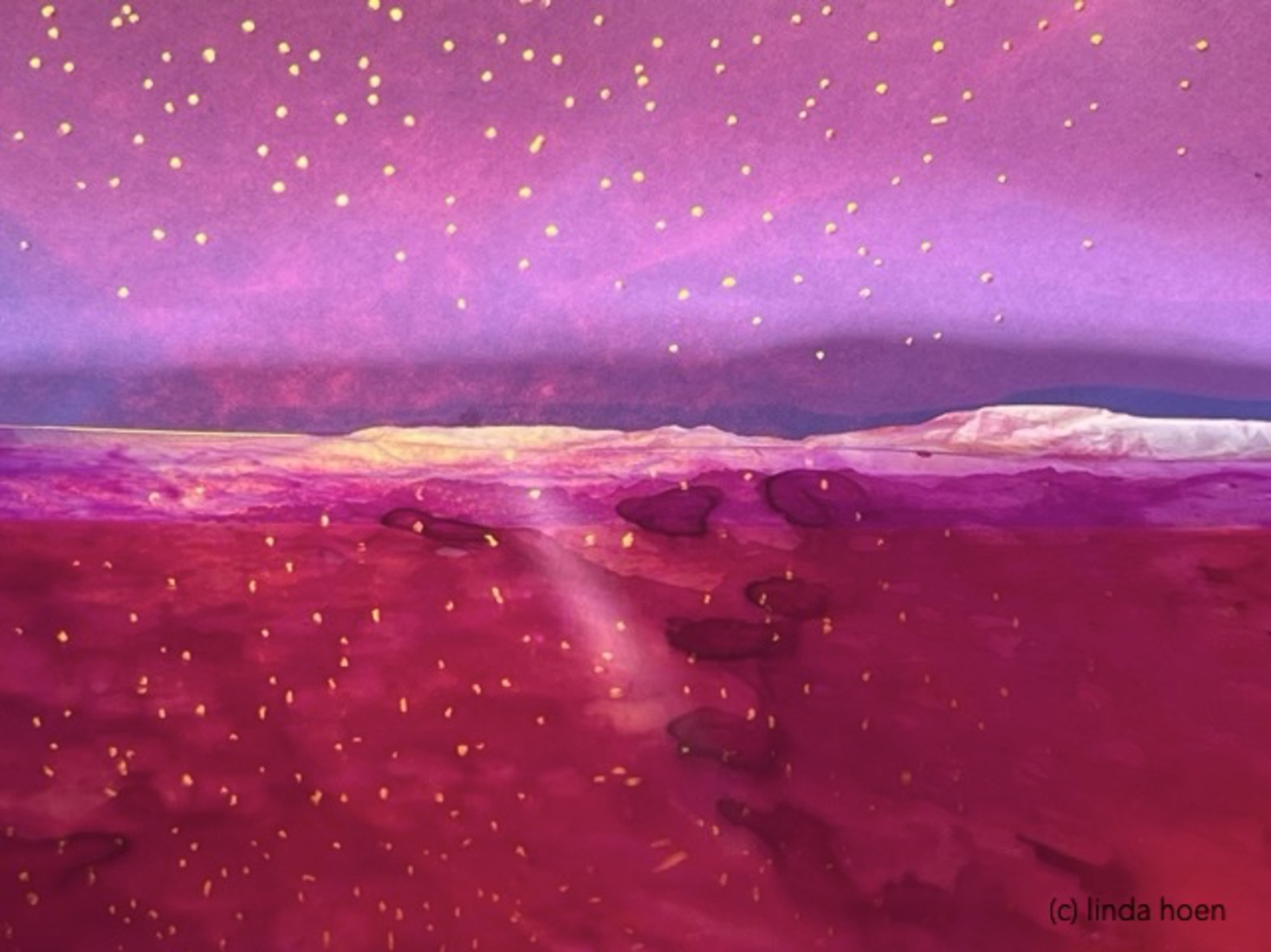 plains  5571
