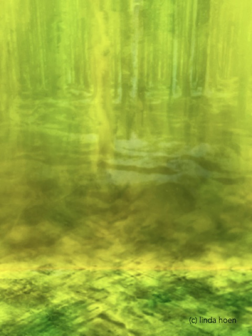 haze 6859