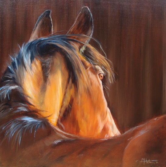 paardenhoofd in de zon