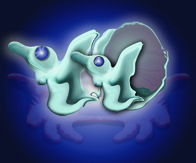 Verkenningsexpeditie