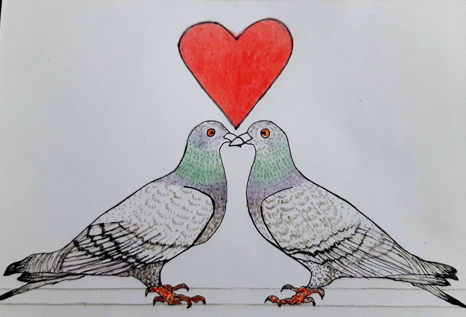 2 Duiven 60 jarig huwelijk