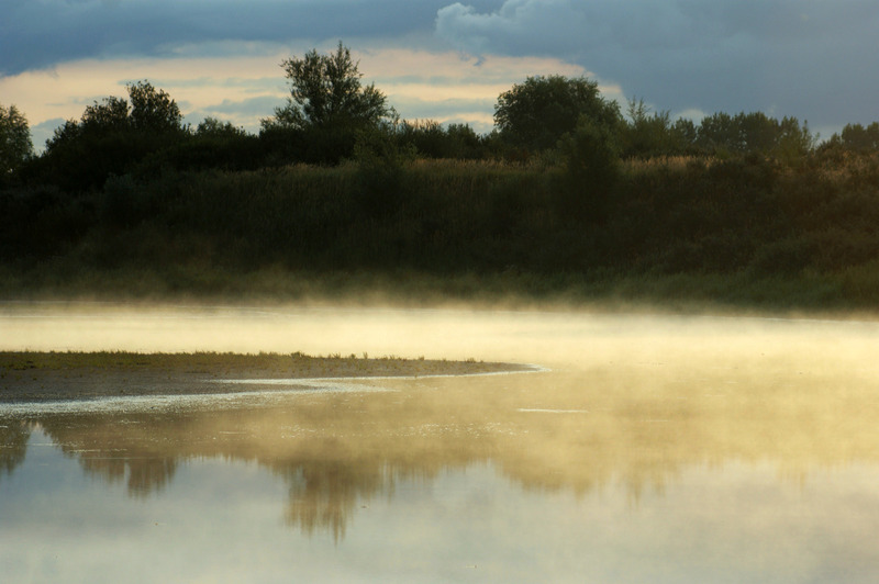 Mist