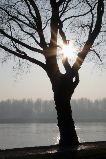 Stralende zon