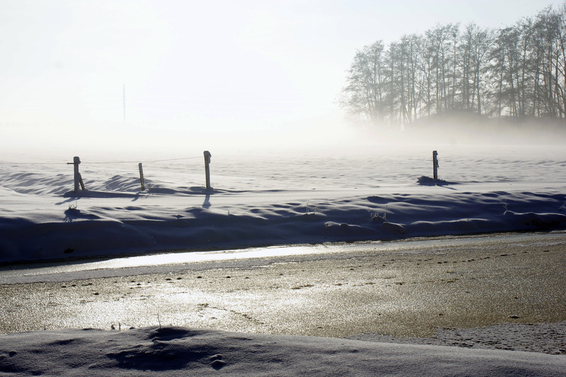 Winter
