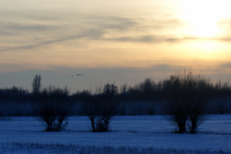 Zonsondergang in de sneeuw