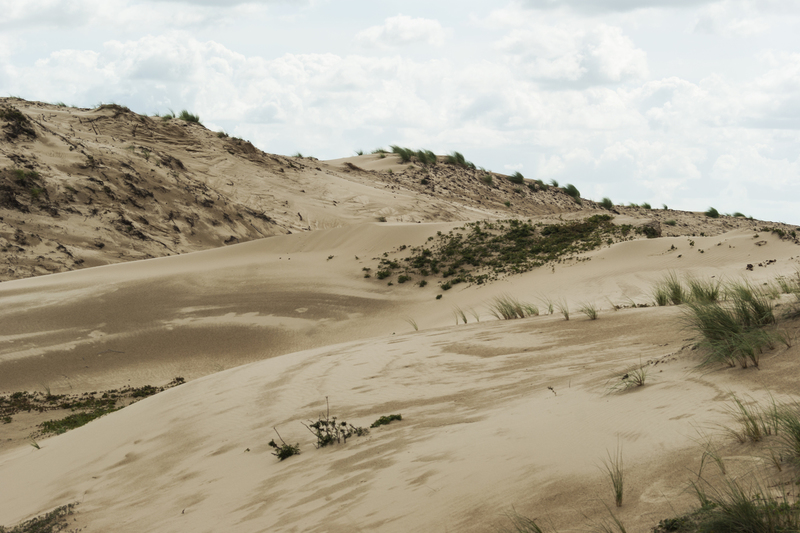 Duinen