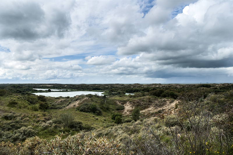 Duinen