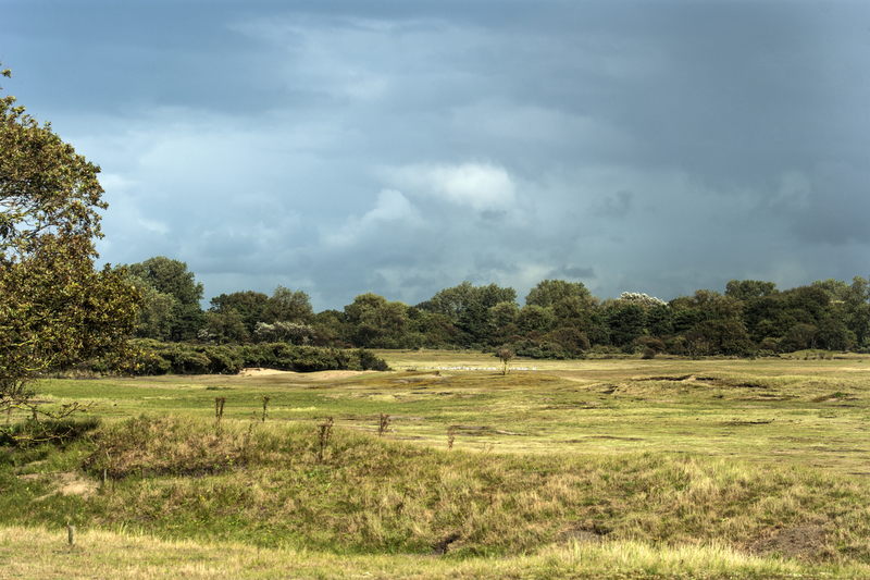 Duinen