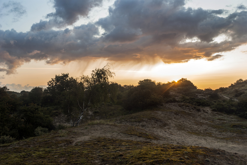 Duinen