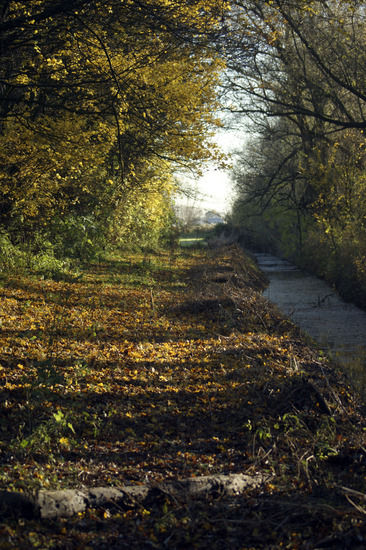 Herfst