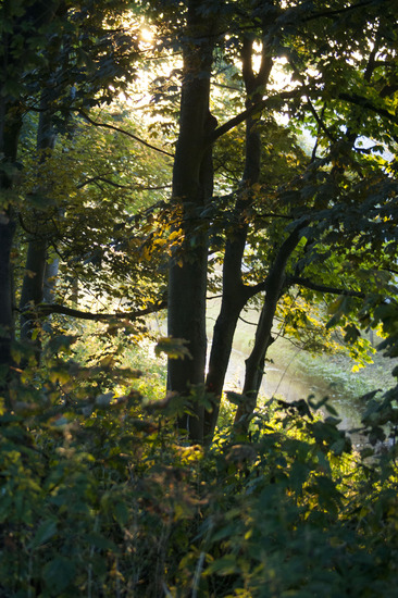 Zonsopkomst
