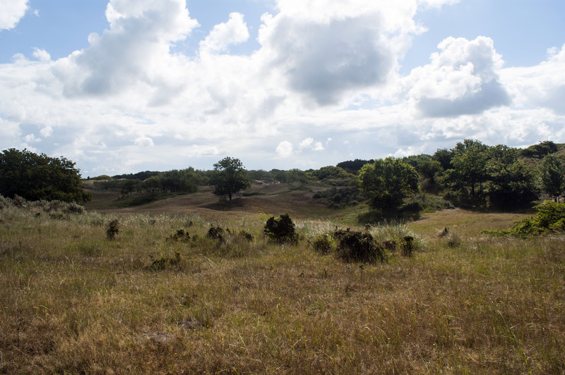Duinen