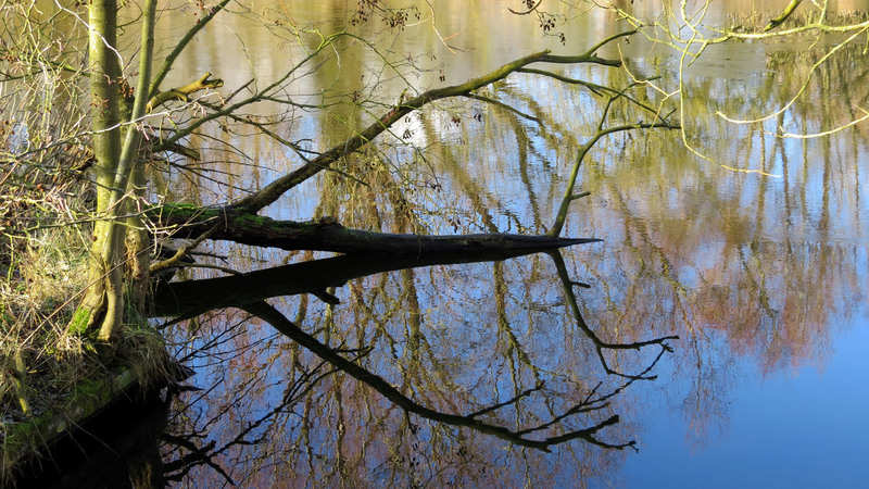 TAKKEN MET REFLECTIES