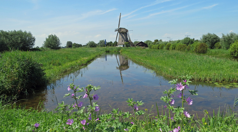 MOLEN BIJ NAARDERMEER