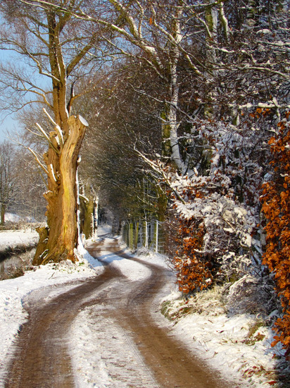 WINTERLANDSCHAP
