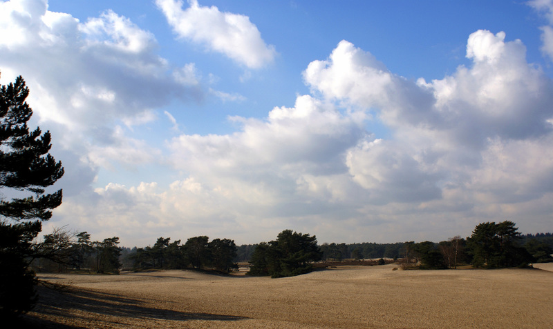 SOESTERDUINEN