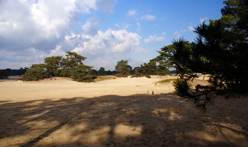 SOESTERDUINEN