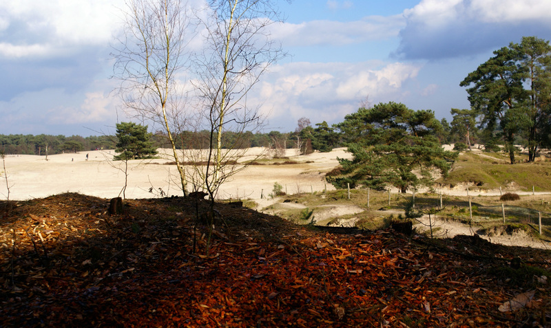 SOESTERDUINEN