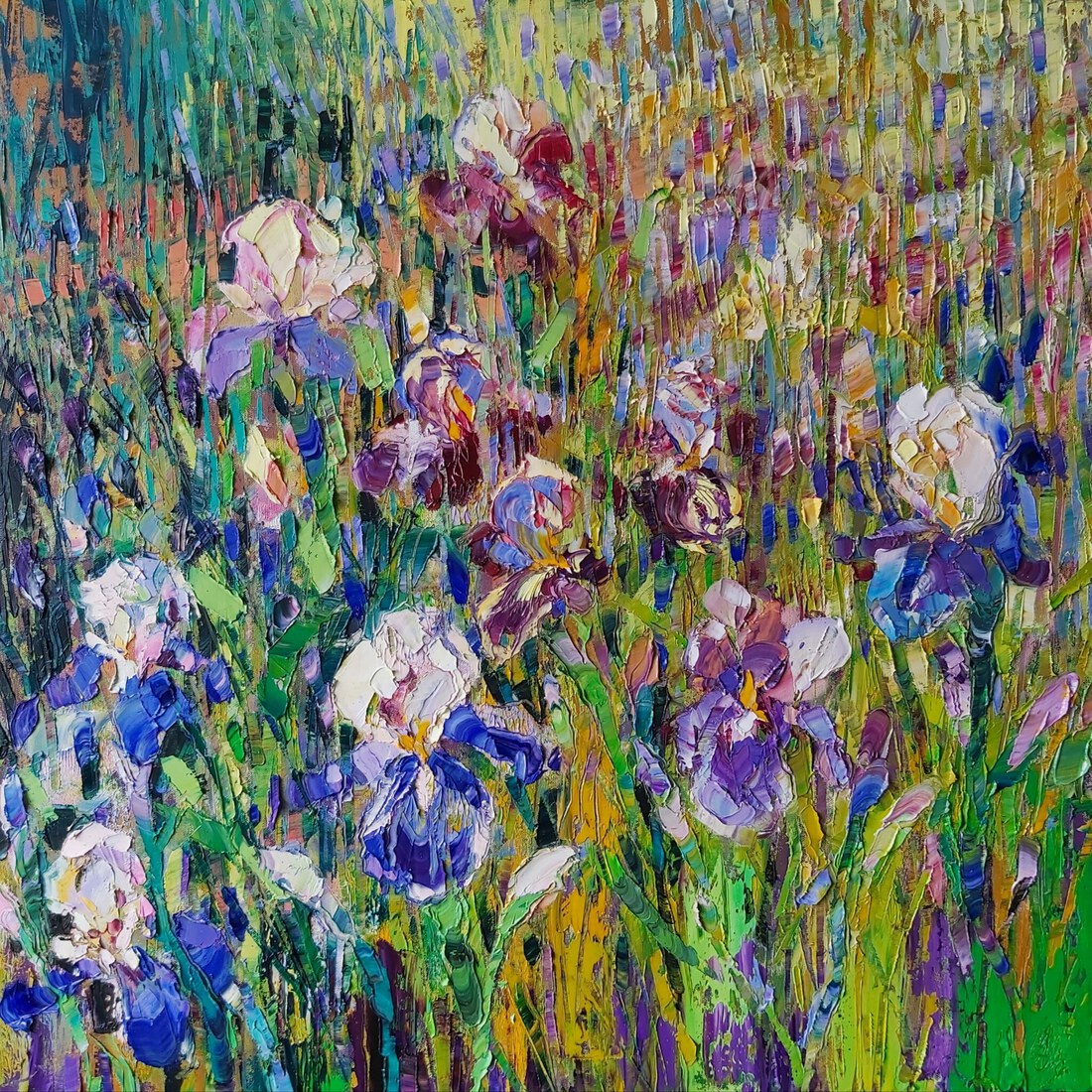 Field of irises