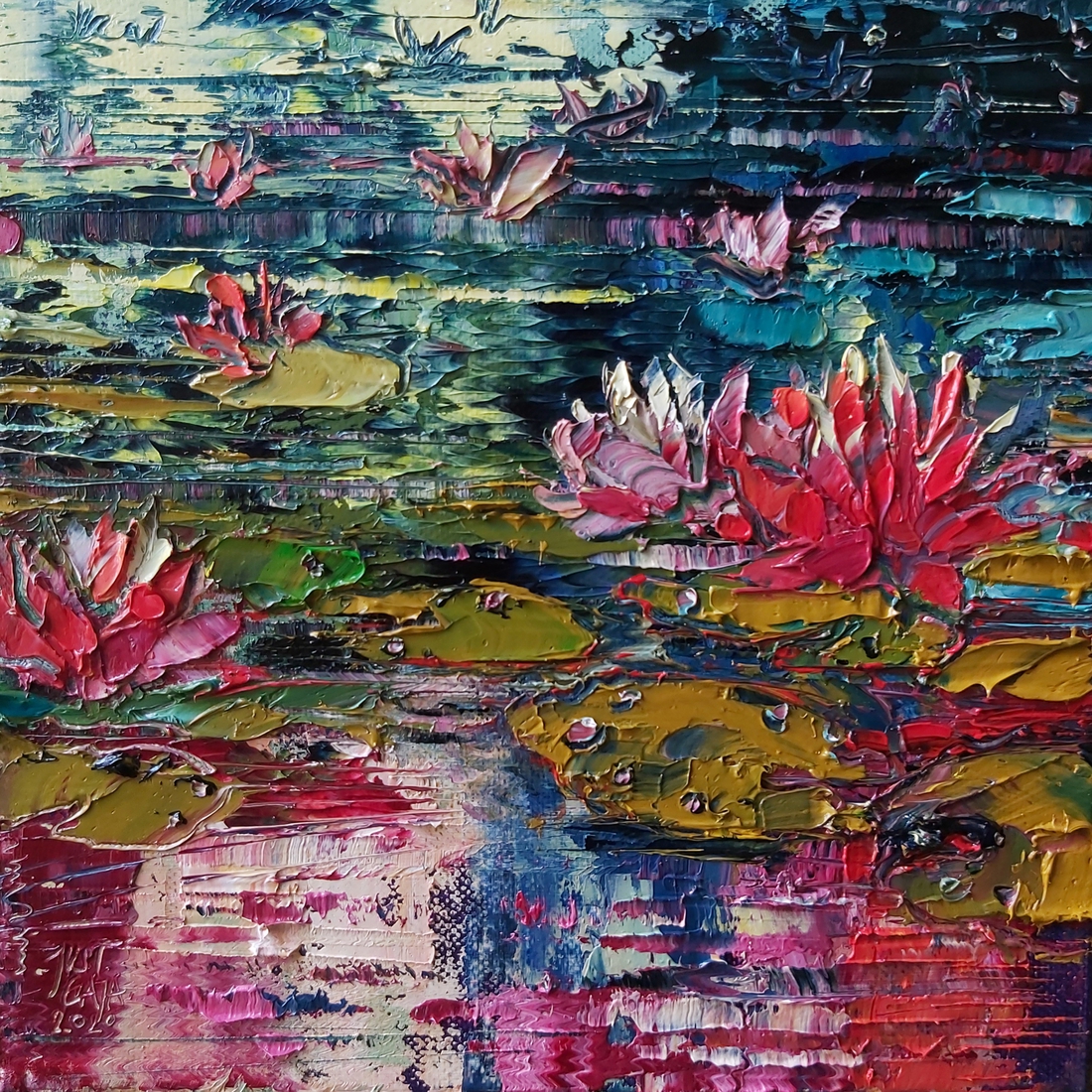 Water lilies in the morning sun