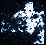 Fotografie, digitaal bewerkt