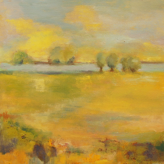 Aan de IJssel met zon