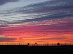 Foto's van landschappen. Door hun abstractie soms bijna verhalend. Werken zijn verkrijgbaar op doek, ingelijst en op groot formaat. Voor elke kamer of muur is wel een of meerder werken geschikt. Vraag vrijblijvend naar een offerte of prijsopgaaf.