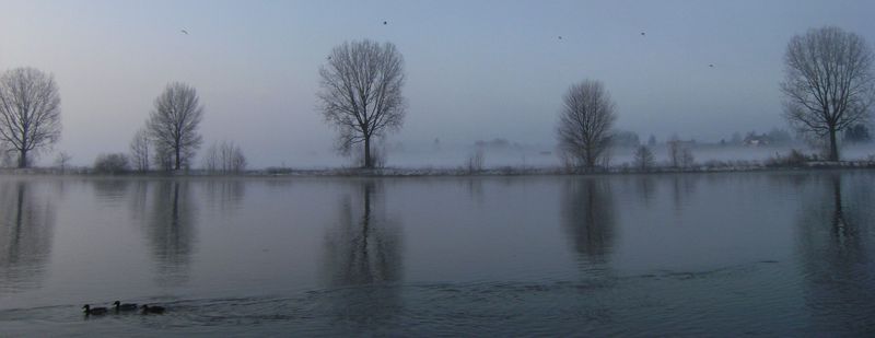 De Maas bij mist