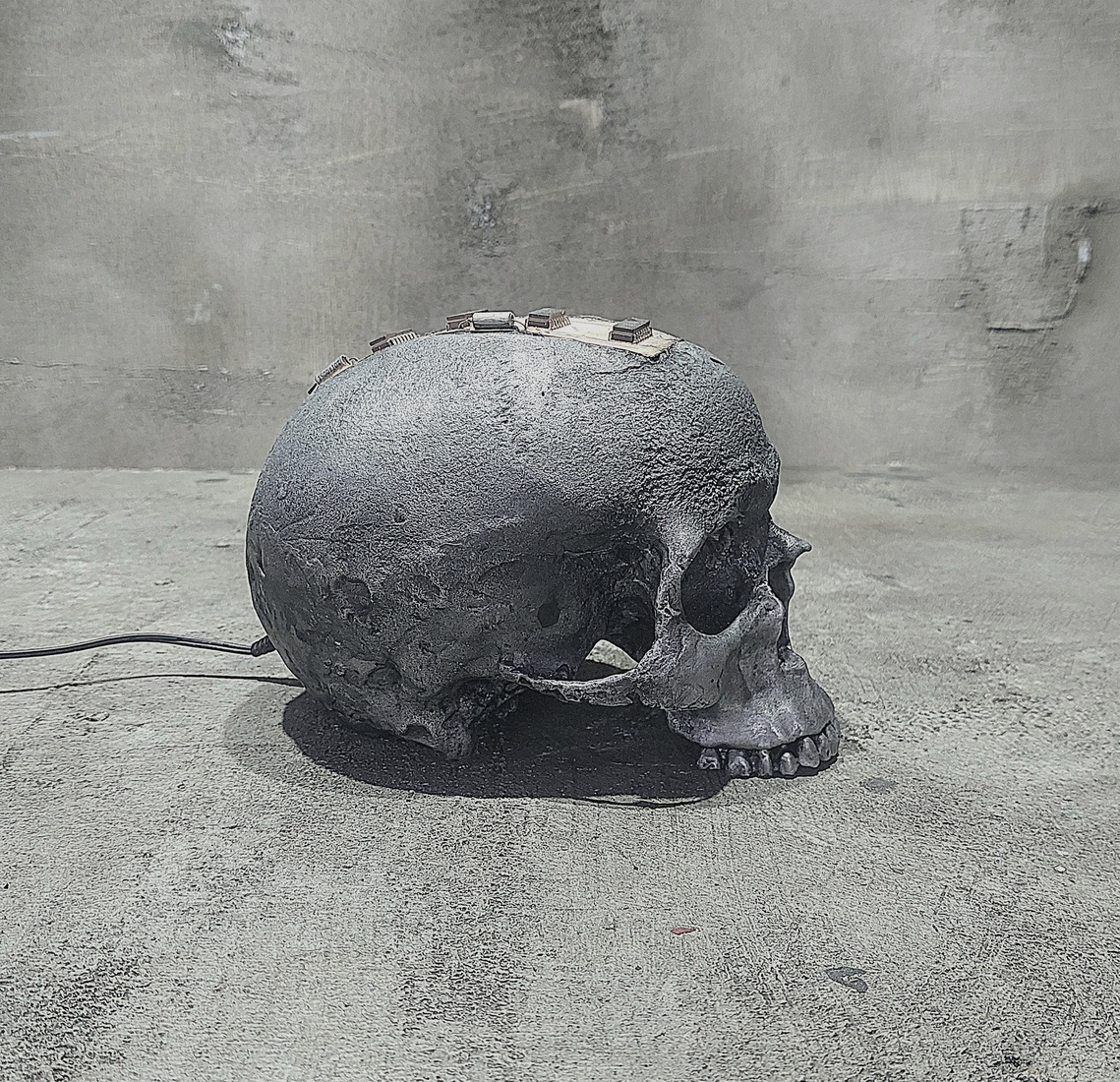 (Anti-virus) Upgrade 004