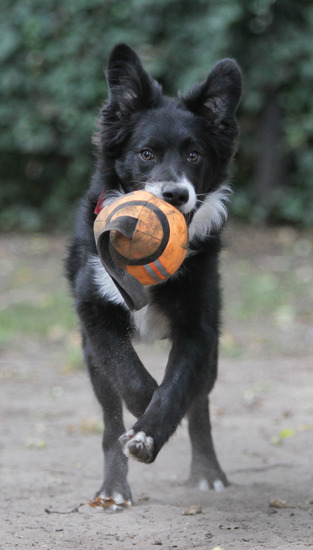 Fotoshoot voor goede doel