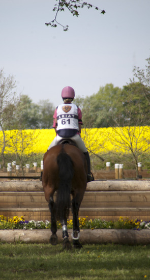 CCI ** Marbach 2011