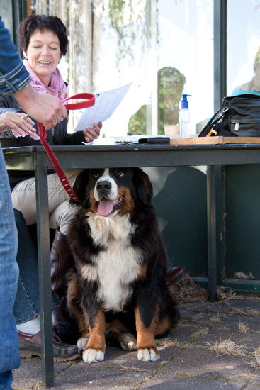 Raskeuring VBSH september