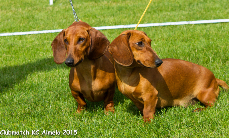 Clubmatch KC Almelo II