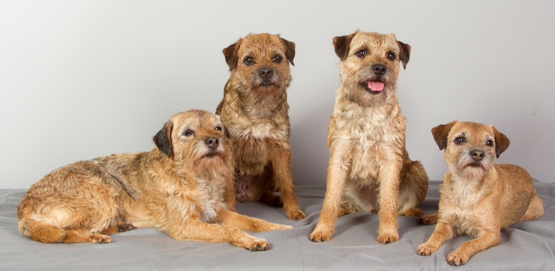 Aangenaam in de studio