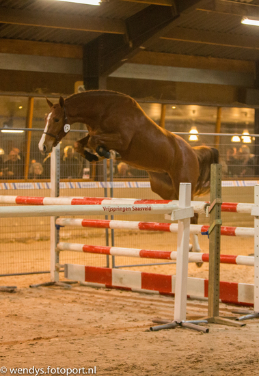 Vrij springen Saasveld
