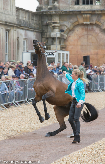 Trot up