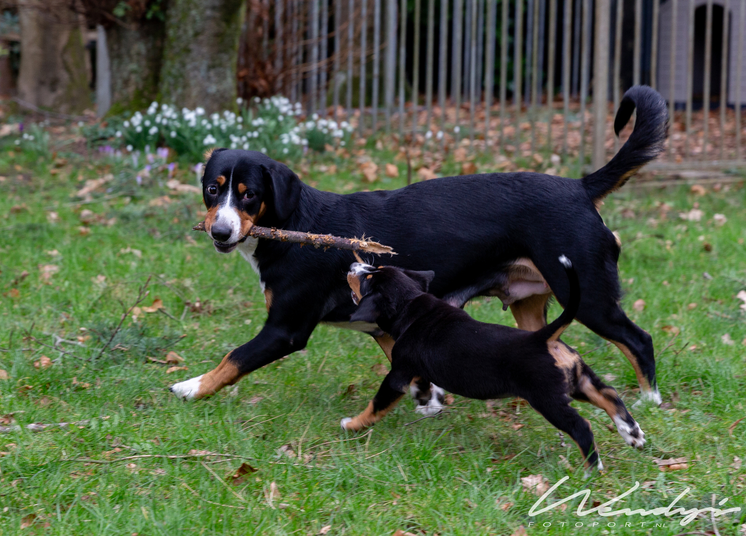 Kom, dan gaan we samen spelen