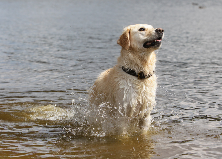 Foto Mundus Workshop