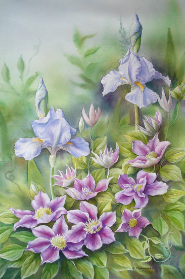 Aquarel met irissen en clematis