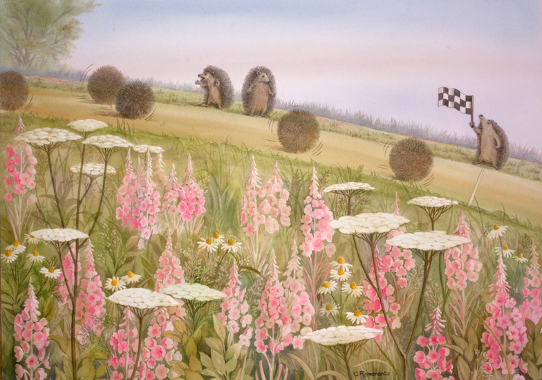 Aquarel egeltjeskoers